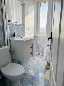 een badkamer met een toilet, een wastafel en een raam bij City Center Apartments - Piața Unirii in Iaşi