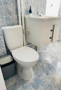 een badkamer met een wit toilet en een wastafel bij City Center Apartments - Piața Unirii in Iaşi