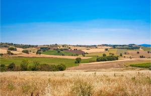 a view of a field of grass and trees at Nice Home In Lugnano In Teverina in Lugnano in Teverina