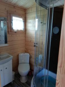 a small bathroom with a toilet and a shower at Domek letniskowy SZUWAREK in Świnoujście