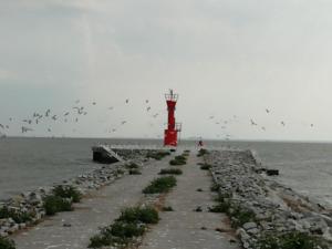 Zdjęcie z galerii obiektu Domek letniskowy SZUWAREK w Świnoujściu