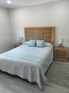 1 dormitorio con 1 cama grande con almohadas azules en Os Carballás-Vilaboa-Pazos nº54, en Vilaboa