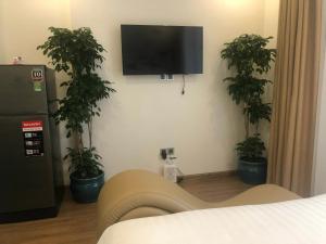 une pièce avec trois plantes en pot et une télévision sur un mur dans l'établissement NK#Homestay#Greenbay#Studio#C2, à Hanoï