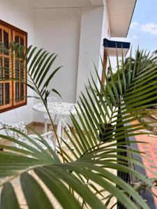 Vườn quanh Casa Maria Mystica apartments, Mananthavady, Wayanad
