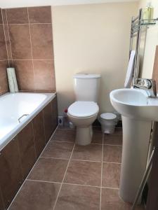 a bathroom with a toilet and a tub and a sink at Willow cottage, romantic retreat near Honiton Devon in Honiton