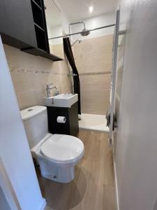 ein Bad mit einem WC, einem Waschbecken und einer Dusche in der Unterkunft Maisonnette studio bas Suquet, 200m plages, 700m palais, au calme in Cannes