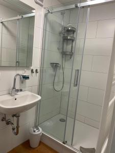 ein Bad mit einer Dusche und einem Waschbecken in der Unterkunft Altstadt Apartment Augustiner in Erfurt