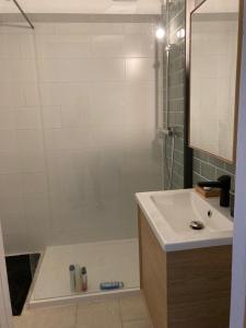 uma casa de banho com um chuveiro, um lavatório e um espelho. em Appartement vue sur mer - Splendide localisation! em Koksijde