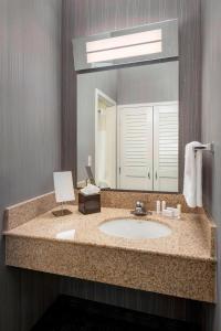 a bathroom with a sink and a mirror at Courtyard Newark Liberty International Airport in Newark
