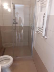 uma casa de banho com um WC e uma cabina de duche em vidro. em Casa Tisa em Oradea