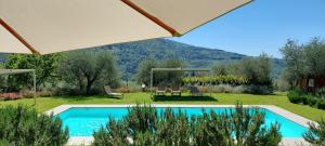 een zwembad in een tuin met een berg op de achtergrond bij La Fornella dell'Anita in Pelago