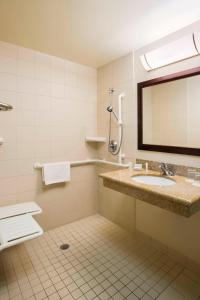 a bathroom with a sink and a mirror at SpringHill Suites by Marriott Omaha East, Council Bluffs, IA in Council Bluffs
