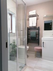 uma casa de banho com um chuveiro, um WC e um lavatório. em No 12 B&B em Dungarvan