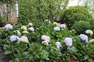 Zahrada ubytování Hoang Loc Villa
