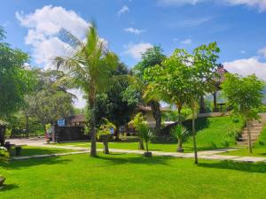 einen Park mit grünem Gras und Palmen in der Unterkunft Balkondes Wanurejo in Borobudur