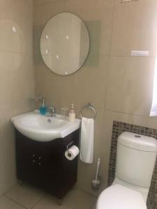 a bathroom with a sink and a toilet and a mirror at Somerset Lodge in Montagu