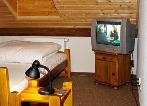 a bedroom with a tv on a dresser with a bed at Noclegi Helvet in Ustrzyki Dolne