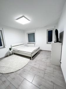a white room with a bed and a rug at Neu sanierte Einzimmerwohnung in Bad Nauheim