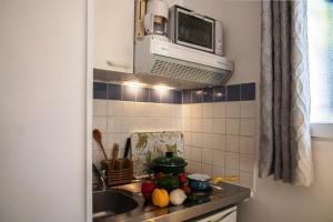 een keuken met een spoelbak en een magnetron bij Le Mas des Gardettes in Saint-Paul-de-Vence +25 foto's