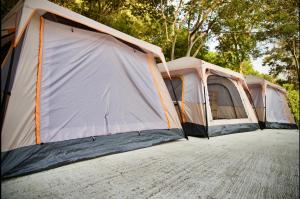 Deux tentes sont installées devant les arbres dans l'établissement Joy Camping & Rooms, à Haad Rin