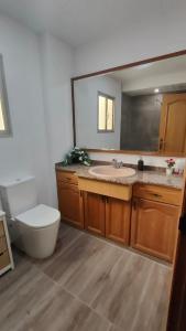 a bathroom with a toilet and a sink and a mirror at Apartamento Tirant lo Blanc in Torrent