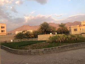 a street with buildings and palm trees in a city at Haret Nizwa hostel in Nizwa