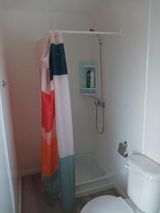 uma casa de banho com uma cortina de chuveiro ao lado de um WC em Container home em Santa Teresa de Lo Ovalle