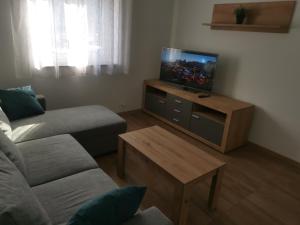 sala de estar con sofá y TV de pantalla plana en Apartman Marie, en Čavle
