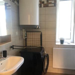 een badkamer met een wastafel, een toilet en een raam bij APARTMÁN RIVIÉRA LIPNO 511-16 in Lipno nad Vltavou