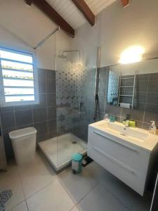 a bathroom with a sink and a shower and a toilet at Villa cosy, piscine et plage. in Les Trois-Îlets