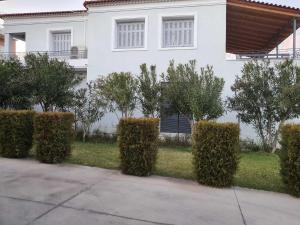 Vonkajšia záhrada v ubytovaní G&N APARTMENT