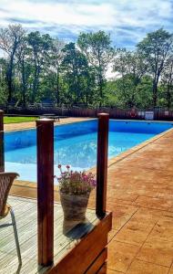 a large swimming pool with a potted plant on a deck at Watkin - Snowdon Cabins Dog friendly holiday let - Caernarfon in Caeathro