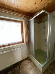 baño con ducha con ventana y puerta de cristal en Ferienhaus Reinhard Steiner, en Hinterbichl