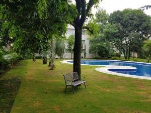 a bench sitting next to a tree next to a swimming pool at Hotel Verdi in San Juan Bautista Tuxtepec