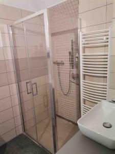 a bathroom with a shower and a sink at Chaloupka v Pošumaví in Sušice