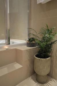 a bathroom with a pot with a plant in it at Heraklia's house in Perama