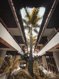 Fotografie z fotogalerie ubytování Hotel Casa Margot v destinaci Ostrov Holbox