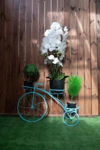 una bicicletta blu parcheggiata accanto a una recinzione con piante in vaso di BrideHousehaifa a Haifa