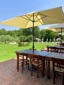 uma mesa de madeira com cadeiras e um guarda-sol em Sibolla Holidays em Altopascio