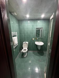 a green bathroom with a toilet and a sink at Hotel Ritsa in Batumi