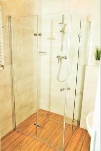 a shower with a glass door in a bathroom at Promyki - Domy Apartamentowe in Chłopy