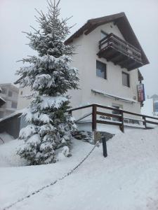 a house with a christmas tree in the snow at Cabana Antonia in Straja