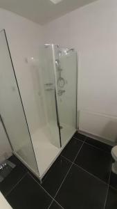 a glass shower in a bathroom with a toilet at Quirky mid century themed holiday home in Shepton Mallet