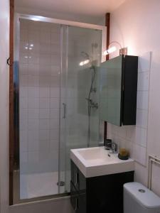 uma casa de banho com um chuveiro, um lavatório e um WC. em Appartement hypercentre / Bouffay em Nantes