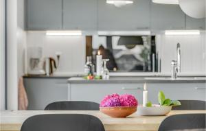 A cozinha ou kitchenette de 3 Bedroom Beautiful Home In Haderslev