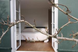 a bedroom with a bed and a tree branch at Bed & Breakfast Gaetzi in Windlach