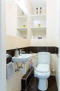 La salle de bains est pourvue de toilettes et d'un lavabo. dans l'établissement City Center Apartment Debrecen, à Debrecen