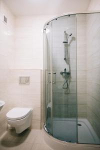 uma casa de banho com um WC e uma cabina de duche em vidro. em Zajazd Błonie em Blonie