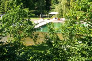 uma piscina no meio de algumas árvores em Enklawa Białowieska Forest & Spa em Hajnówka