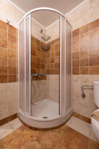 a shower stall in a bathroom with a toilet at Blanket Cozy Apartments Central in Ioannina